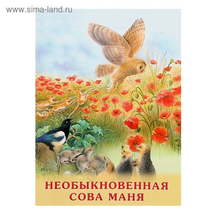 

«Необыкновенная Сова Маня», Гурина И. В.