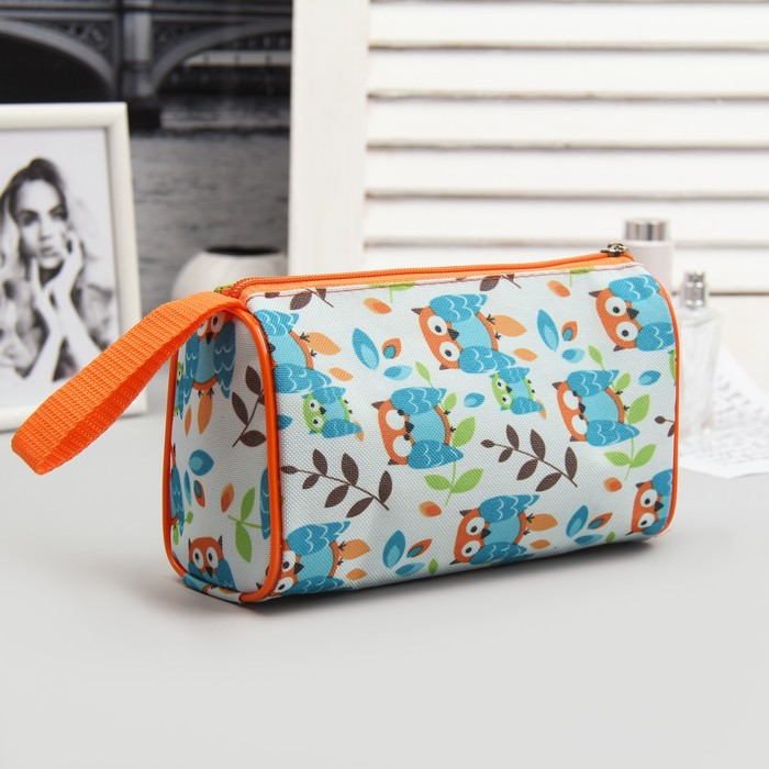 Косметичка простая на молнии "Совы на ветке", 1 отдел, разноцветный
