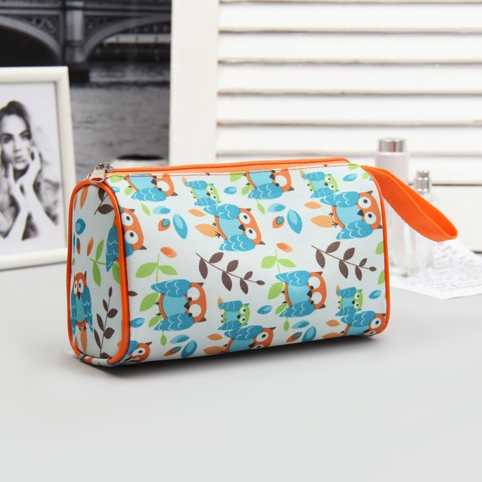 Косметичка простая на молнии "Совы на ветке", 1 отдел, разноцветный