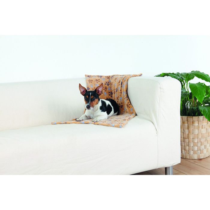 Подстилка-плед Laslo, 75 × 50 см, флис, бежевый