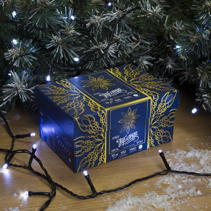 НИТЬ уличная, УМС, 10 м, Н.Т. 2W LED-100-24В, БЕЗ контр. БЕЛЫЙ