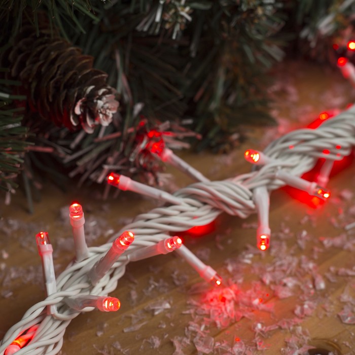 Гирлянда "Метраж" улич. УМС, 10 м, Н.Б., 2W LED-100-24В, БЕЗ контр., КРАСНЫЙ