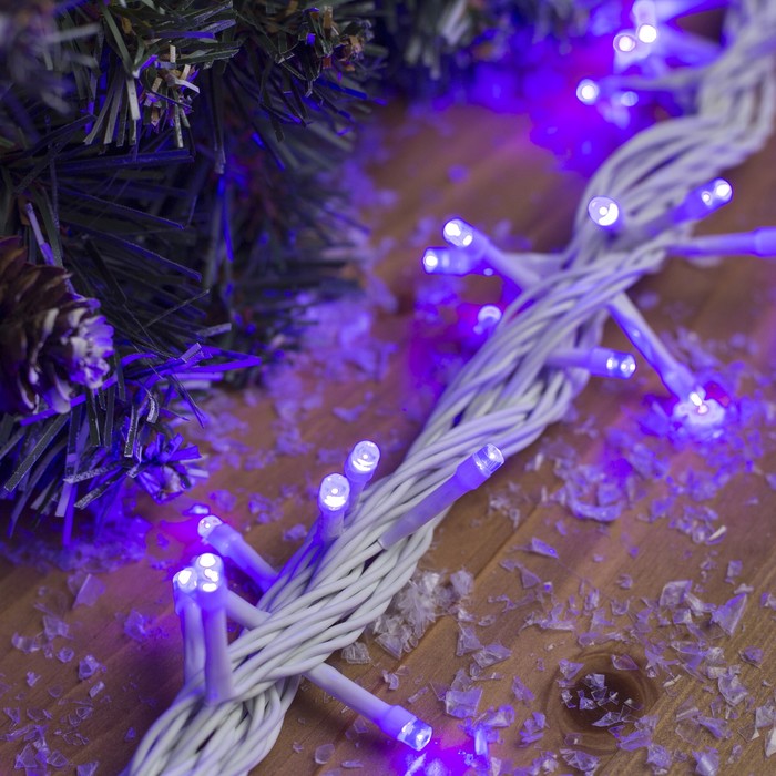 Гирлянда "Метраж" улич. УМС, 10 м, Н.Б., 2W LED-100-24В, БЕЗ контр., ФИОЛЕТ