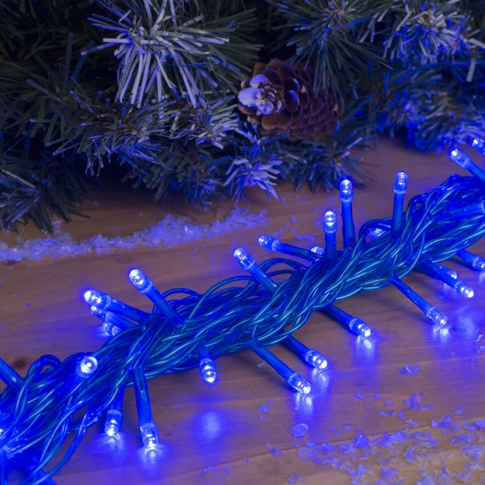 Гирлянда "Метраж" улич. УМС, 10 м, Н.С., 2W LED-100-24В, БЕЗ контр., СИНИЙ