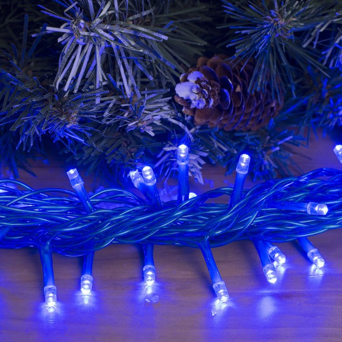 Гирлянда "Метраж" улич. УМС, 10 м, Н.С., 2W LED-100-24В, БЕЗ контр., СИНИЙ