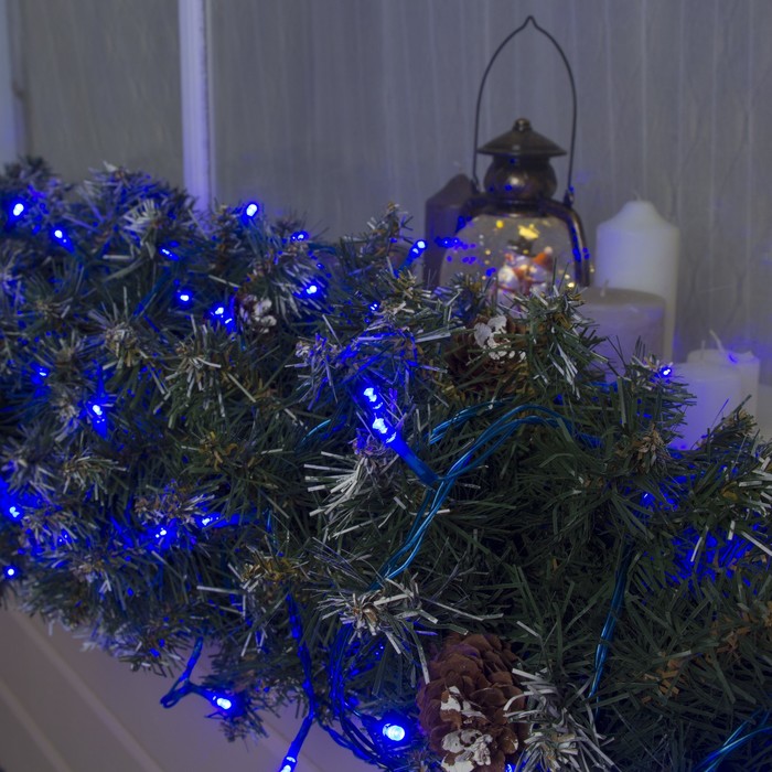 Гирлянда "Метраж" улич. УМС, 10 м, Н.С., 2W LED-100-24В, БЕЗ контр., СИНИЙ