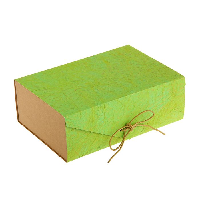 Коробка подарочная "Эко люкс", салатовая, 24.5 х 17 х 8.5 см