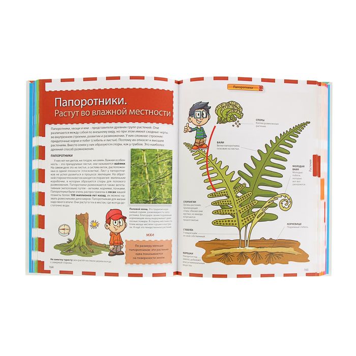 Большая иллюстрированная энциклопедия школьника