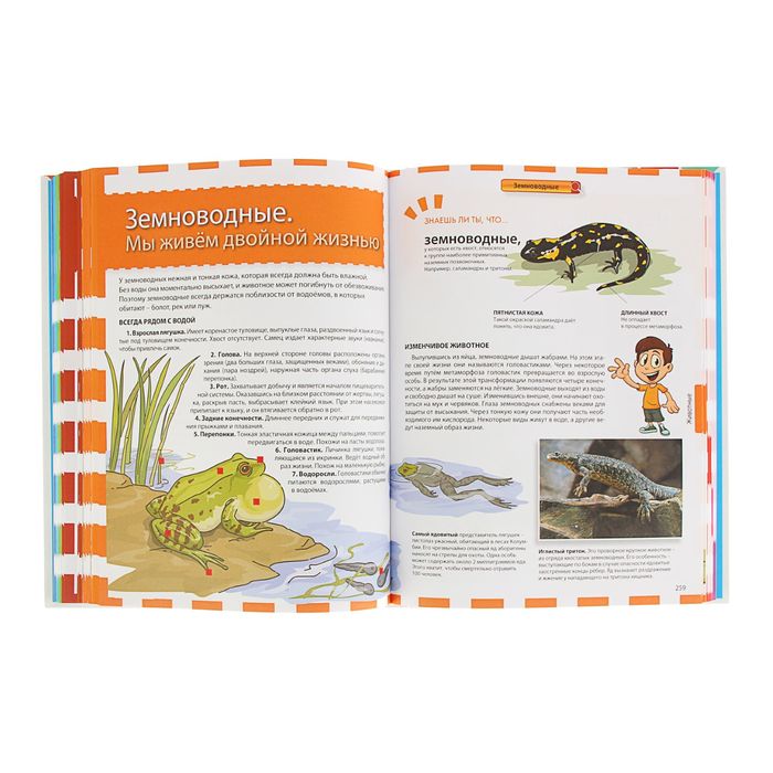 Большая иллюстрированная энциклопедия школьника