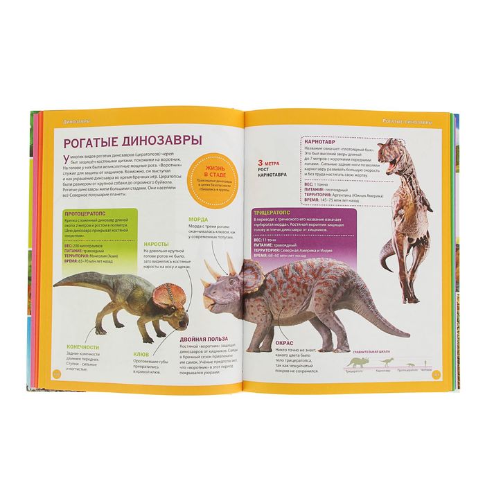 Большая детская энциклопедия. Лучший подарок для девочки