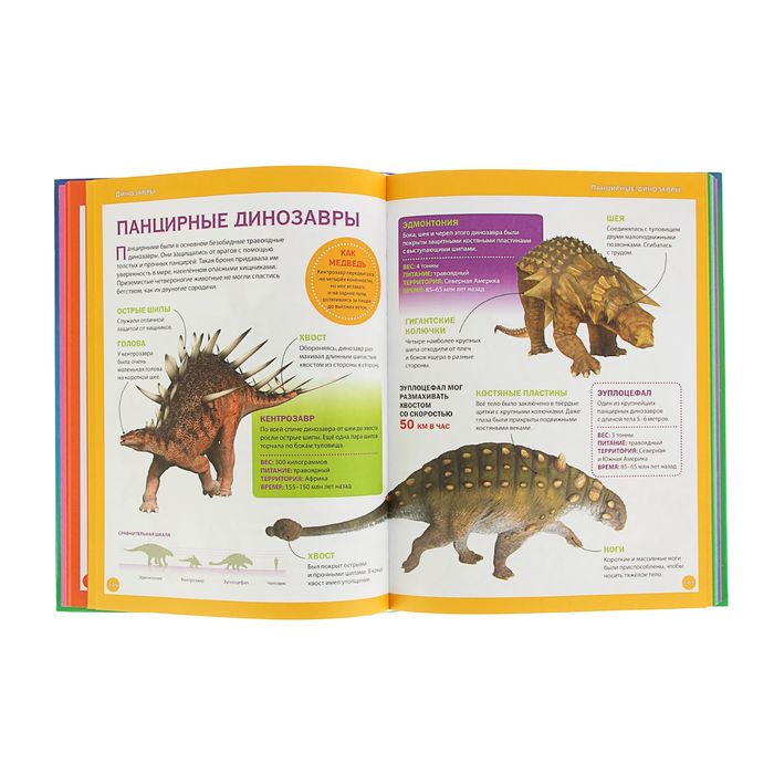 Самая красивая энциклопедия для девочек