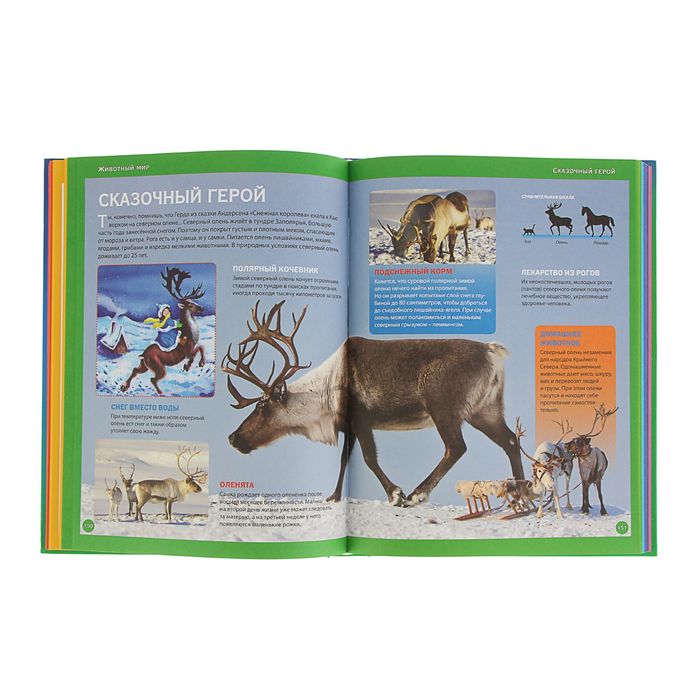 Самая красивая энциклопедия для девочек