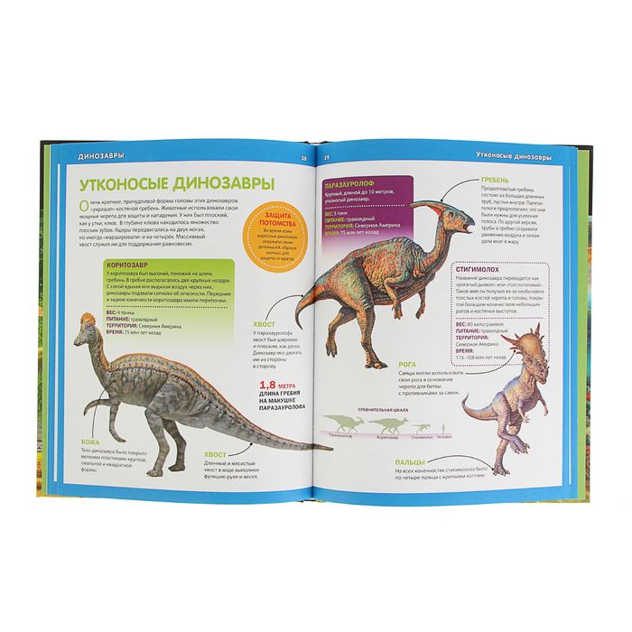 Детская энциклопедия. Динозавры