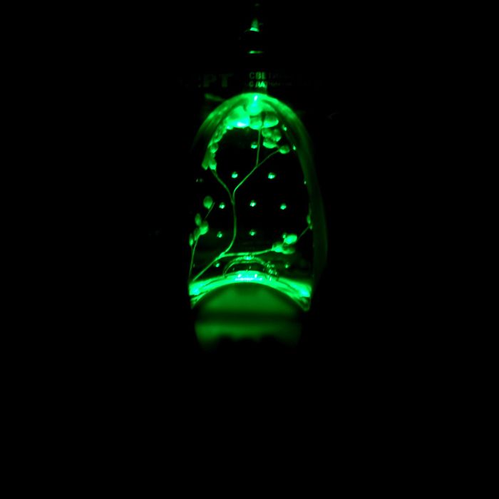 Ночник СТАРТ NL "Лоза"