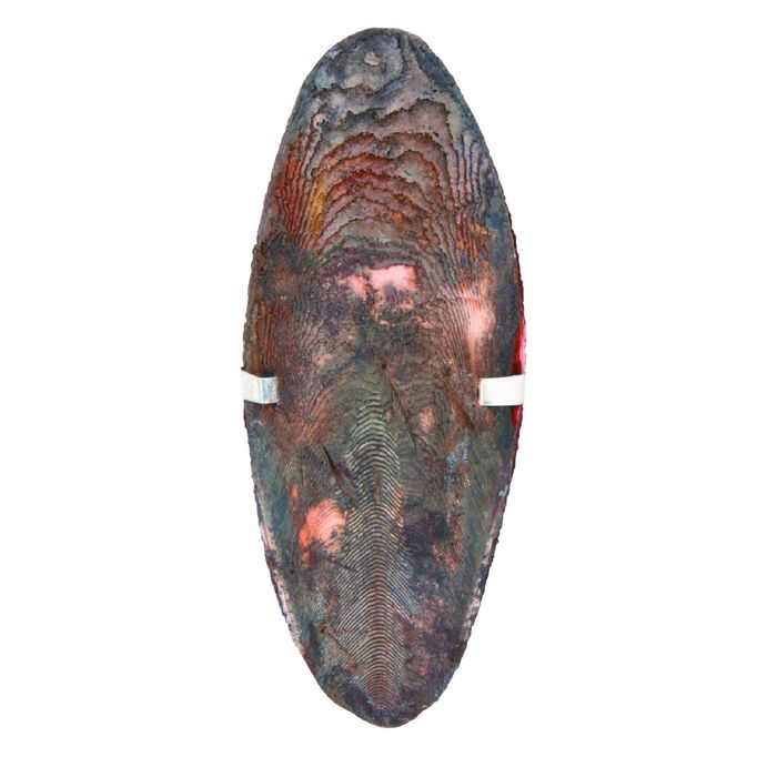 Панцирь каракатицы Trixie 24 шт.,ванильный, шоколадный, лимонный, маленькие