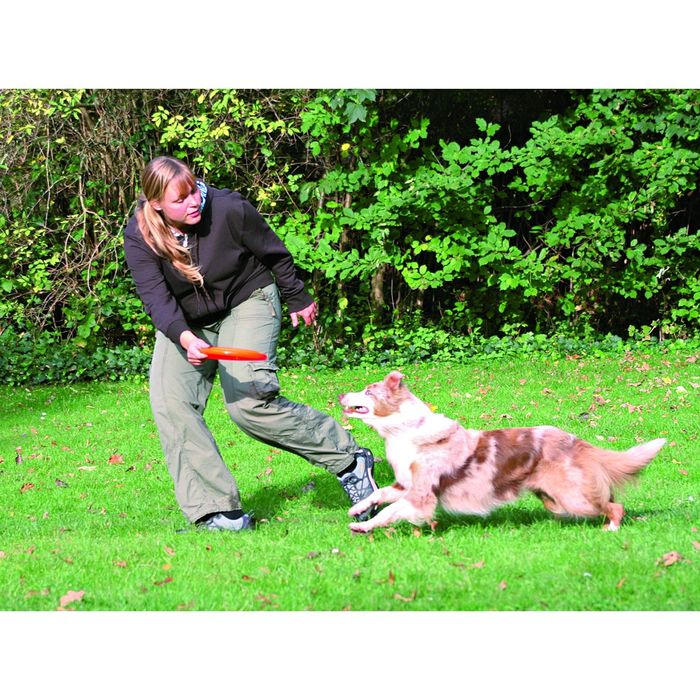 Диск Trixie для игры, 23см, повышенной прочности