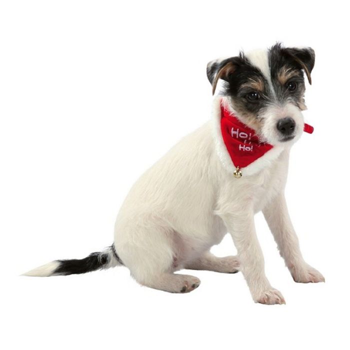 Веревка Trixie с узлом ф 8 см /38 см.