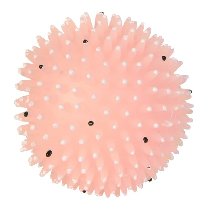 Мяч игольчатый Trixie "Лунный свет" ф10 см.