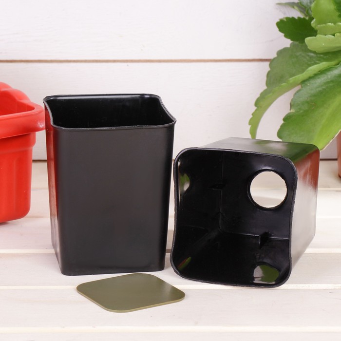 Набор для рассады: стаканы - 10 шт. по 400 мл, поддон 45 х 19 см, МИКС