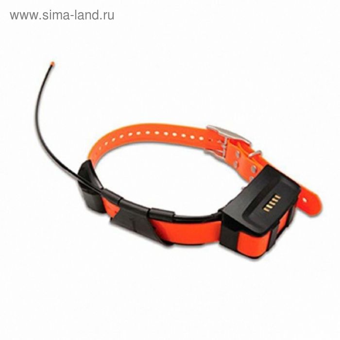 Датчик-ошейник Garmin T5 Collar Rus для Astro