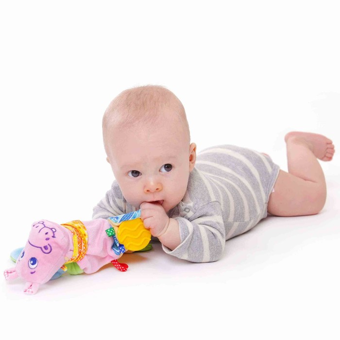 Игрушка-прорезыватель «Зоо. Бегемот Добряк»