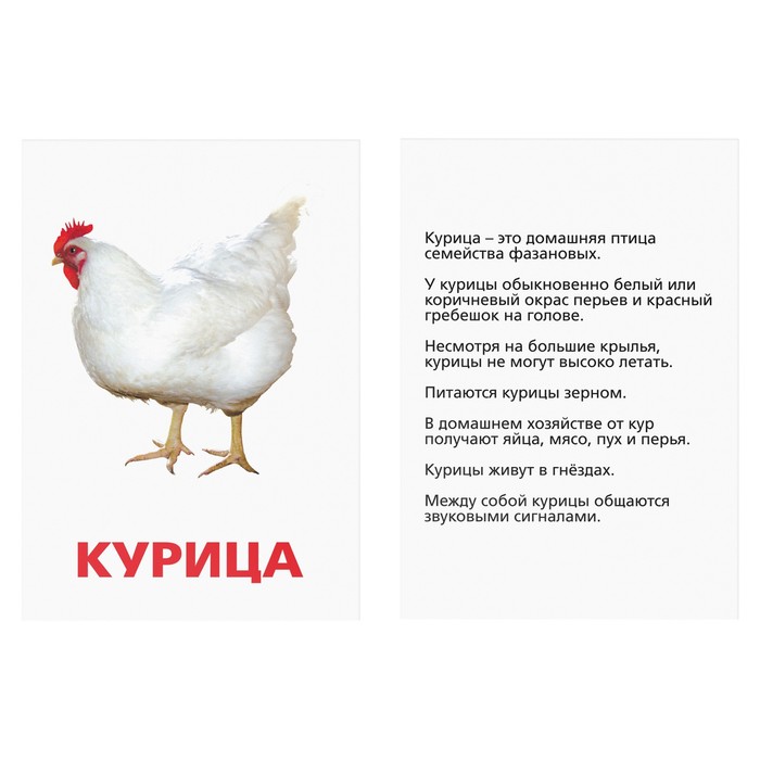 Обучающие карточки по методике Г. Домана "Домашние животные и птицы"