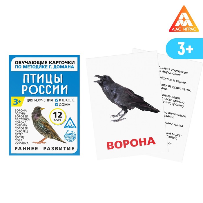 

Обучающие карточки по методике Г. Домана «Птицы России», 12 карт, А6