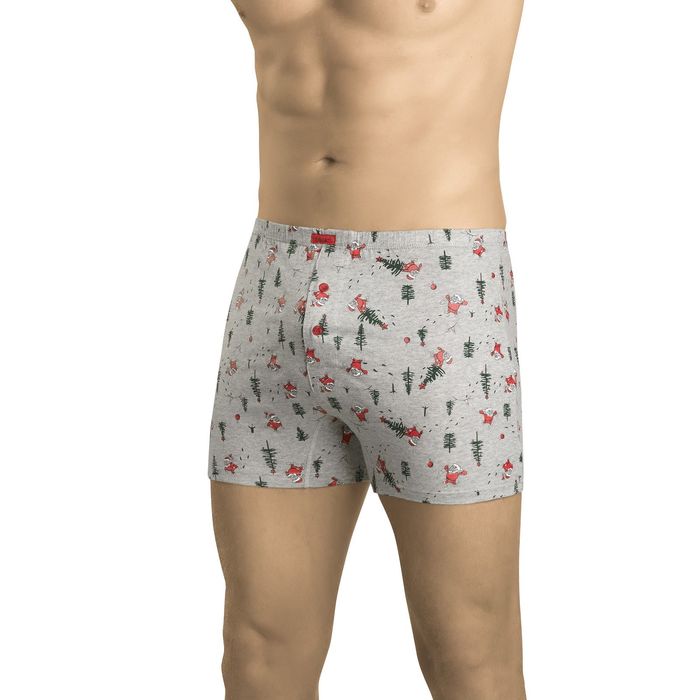 Трусы мужские, размер 46, цвет серый