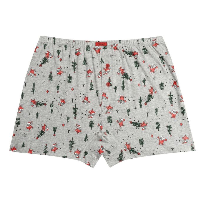 Трусы мужские, размер 46, цвет серый