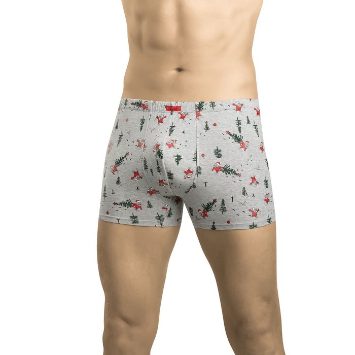 Трусы мужские, размер 46, цвет серый