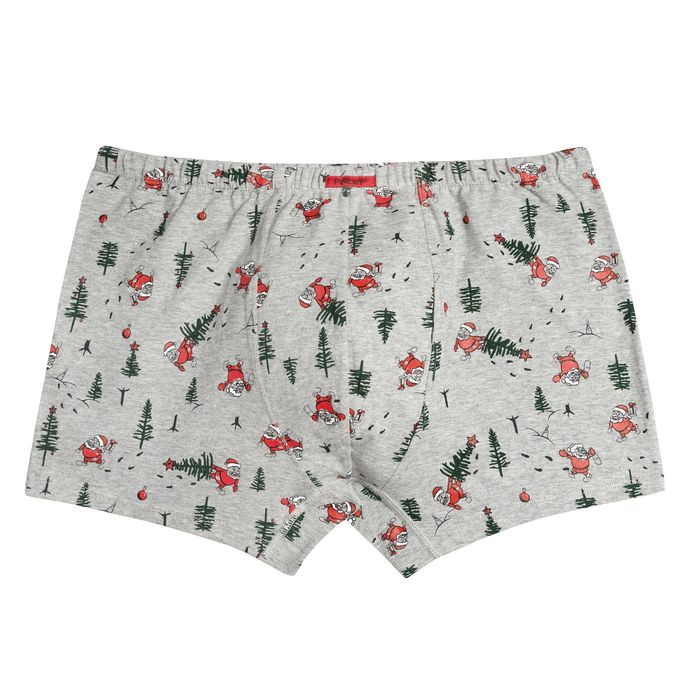 Трусы мужские, размер 50, цвет серый