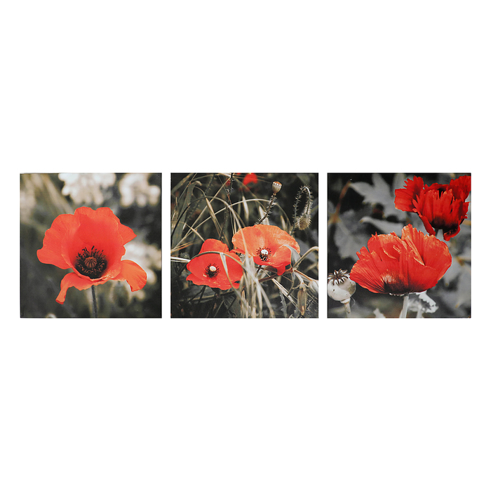 Модульная картина на подрамнике "Маки", 3 шт. — 50×50 см, 50×150 см