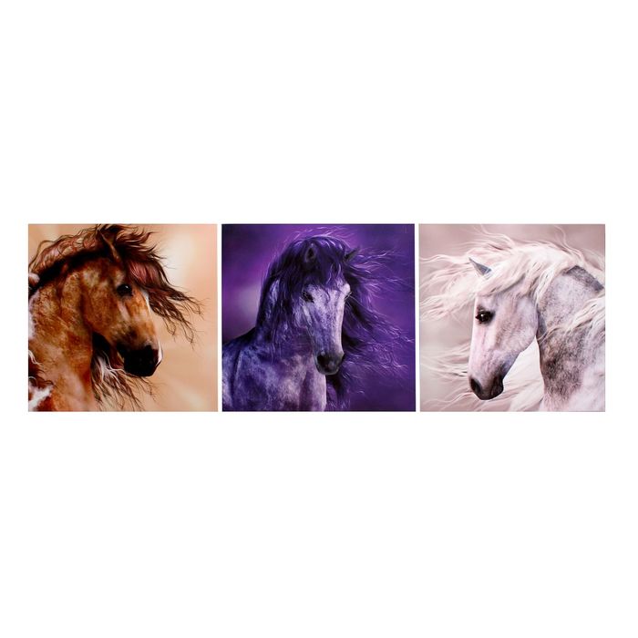 Модульная картина на подрамнике "Кони", 3 шт. — 50×50 см, 50×150 см
