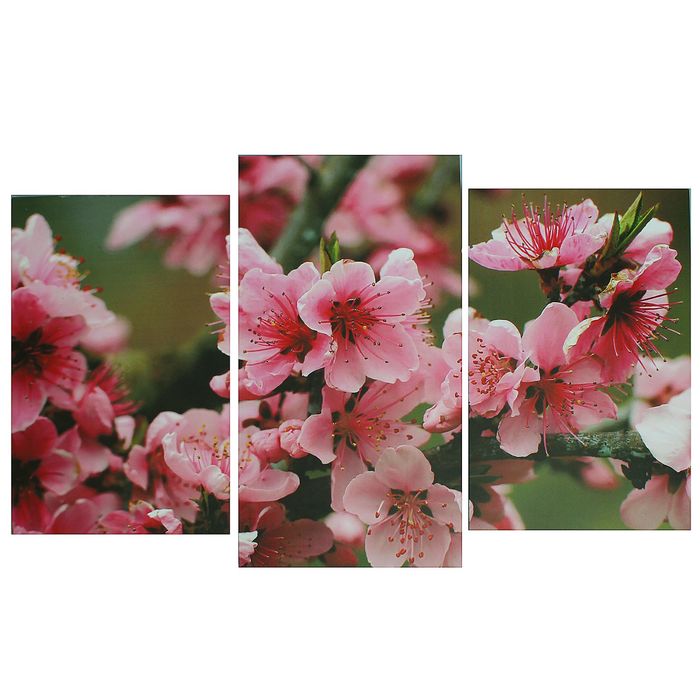 Модульная картина на подрамнике "Сакура в цвету", 2 шт. — 33×50, 1 шт. — 33×60 см, 100×60 см