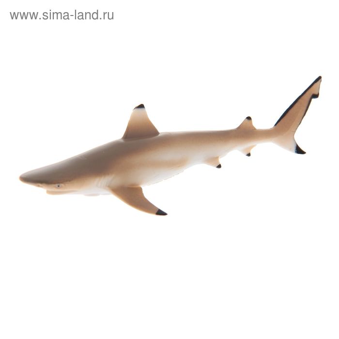 Фигурка «Рифовая акула» фигурка акула мегалодон 25 см