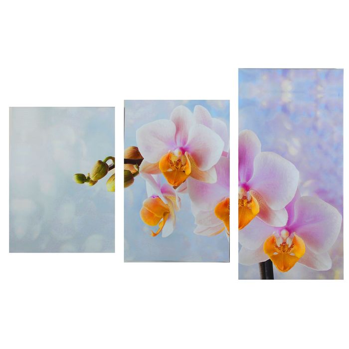 Модульная картина на подрамнике "Орхидея на белом", 99×65 см