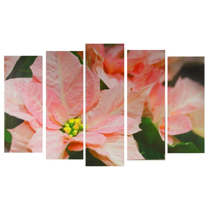 Модульная картина на подрамнике "Розовый цветок", 125×80 см