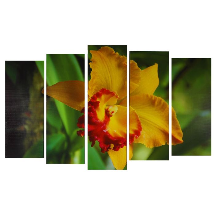 Модульная картина на подрамнике "Жёлтый цветок", 80×25, 71×25, 71×25, 63×25, 63×25