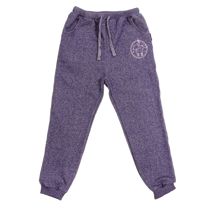 Брюки спортивные для девочки "Вышивка", рост 110-116 см, цвет фиолетовый 483В-469
