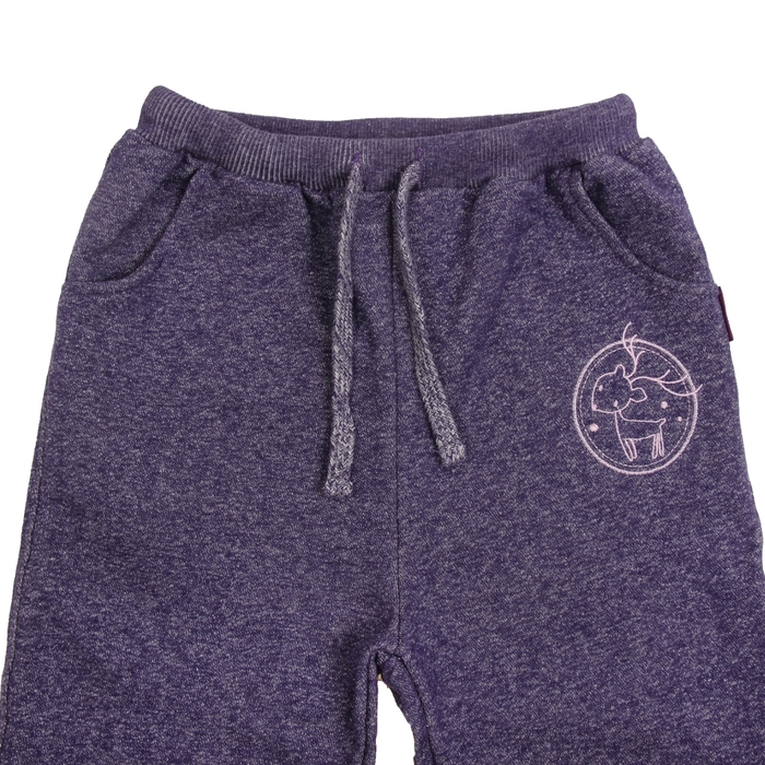 Брюки спортивные для девочки "Вышивка", рост 110-116 см, цвет фиолетовый 483В-469