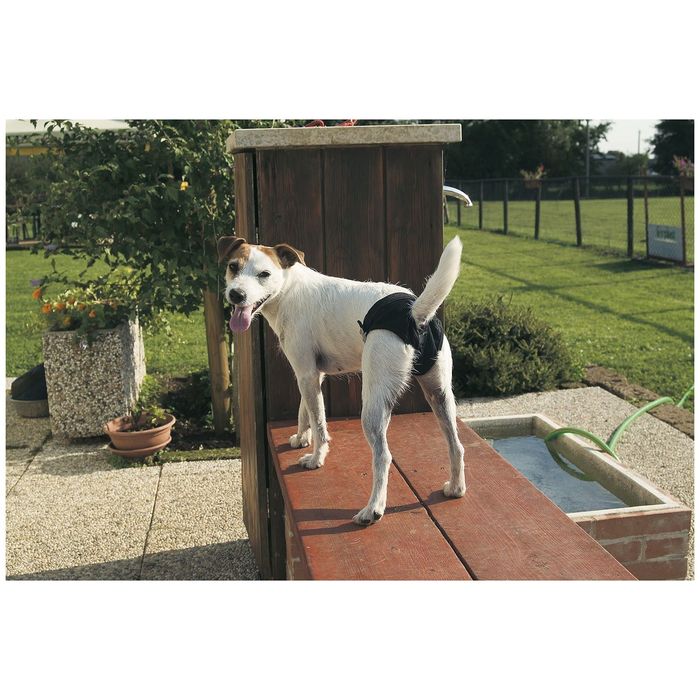 Трусы Ferplast гигиенические для собак Medium