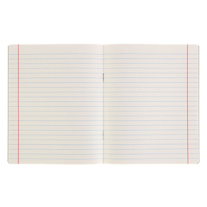 Тетрадь 12 листов линейка "Котята и записки", обложка картон хромэрзац, 5 видов МИКС