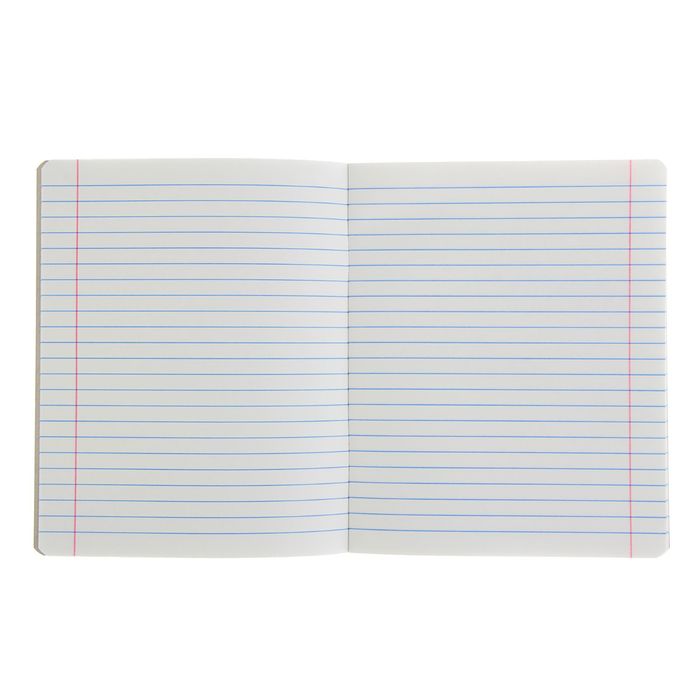 Тетрадь 12 листов линейка "Принцессы из розового замка", обложка картон хромэрзац, 5 видов МИКС