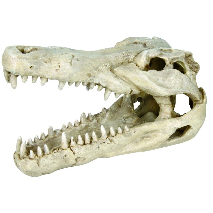 Грот Trixie "Череп крокодила" 14 см, пластик