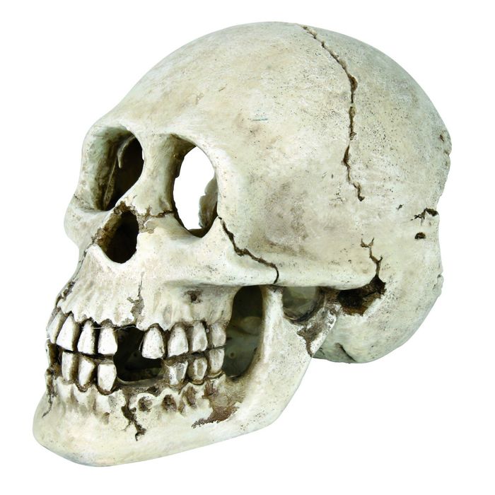 Грот Trixie "Череп" 15 см, пластик