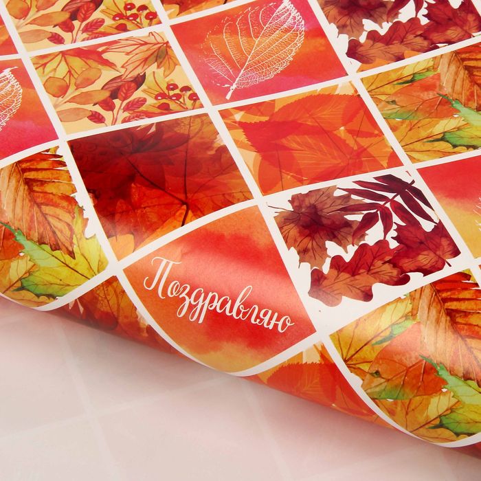 Бумага упаковочная "Осень", поздравляю, 70 х 100 см