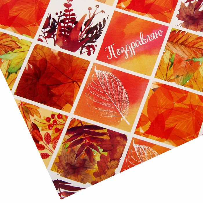 Бумага упаковочная "Осень", поздравляю, 70 х 100 см