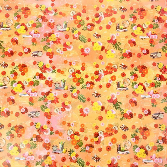 Бумага упаковочная " С днем учителя", 70 х 100 см