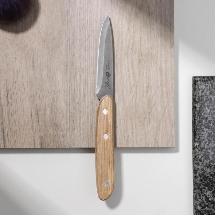 фото Нож для овощей genio woodstock, 8 см apollo