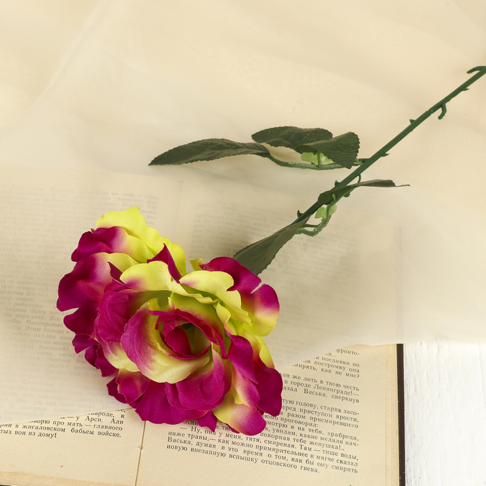 Цветок искусственный "Роза" волнистый край, жёлто-пурпурная